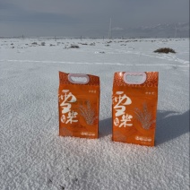 【羊脂雪米香米】新疆大米厂家直销量大质优价优欢迎采购
