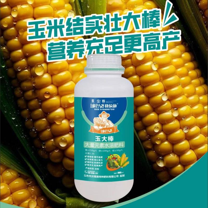玉大棒玉米肥容易吸收替代追肥效率提高省心省力根杆粗壮