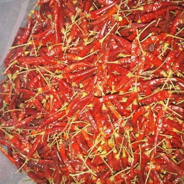 正宗贵州干辣椒️小米辣