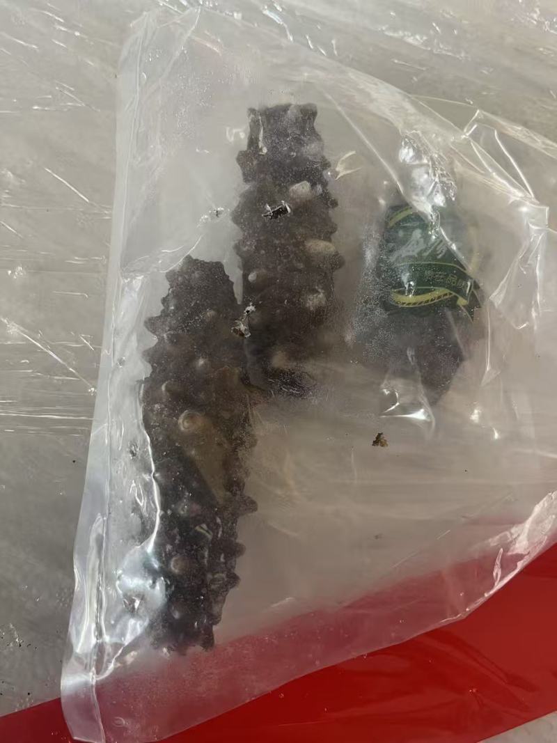 海参，6头8头10头15头都有，各种规格都全，按需购买！