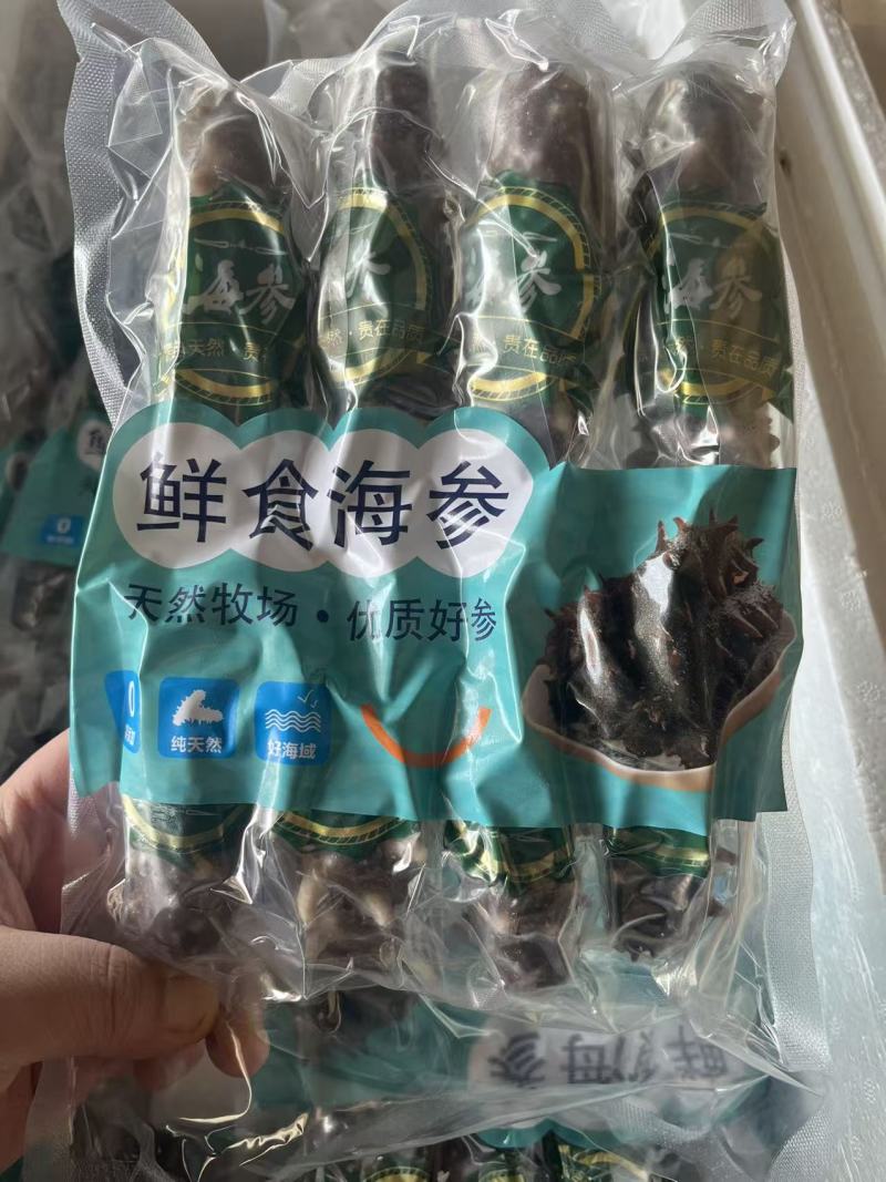 海参，6头8头10头15头都有，各种规格都全，按需购买！