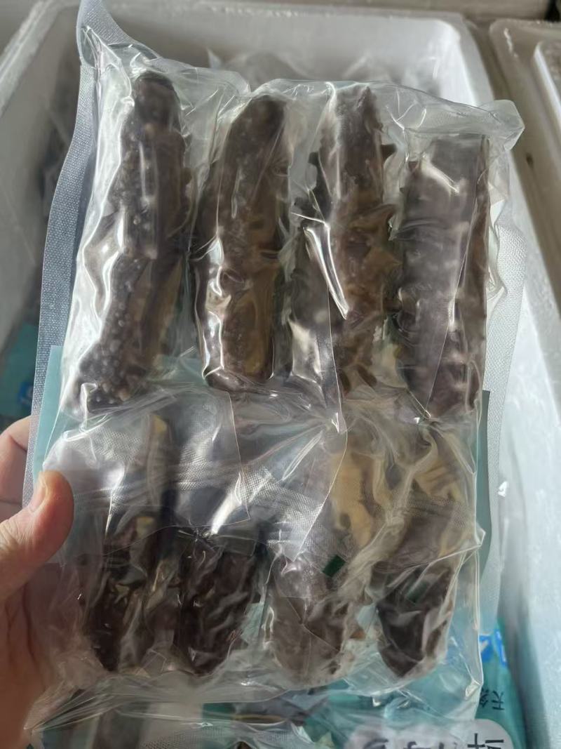 海参，6头8头10头15头都有，各种规格都全，按需购买！
