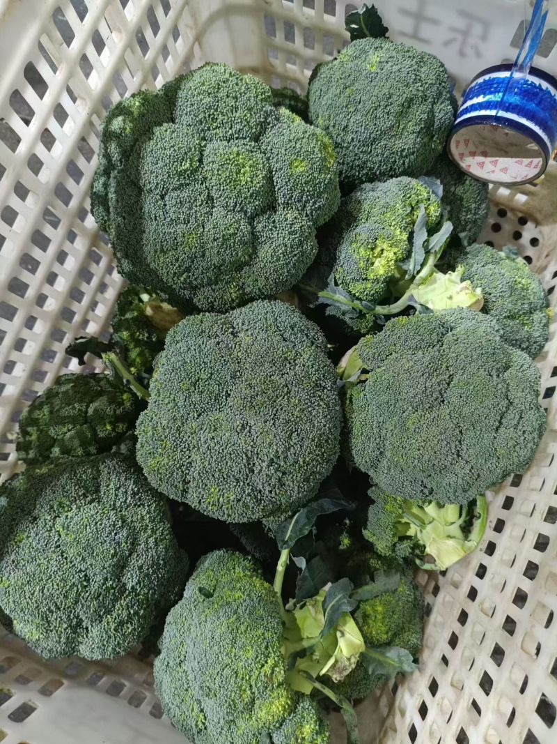 西兰花