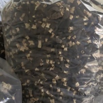 羊肚菌