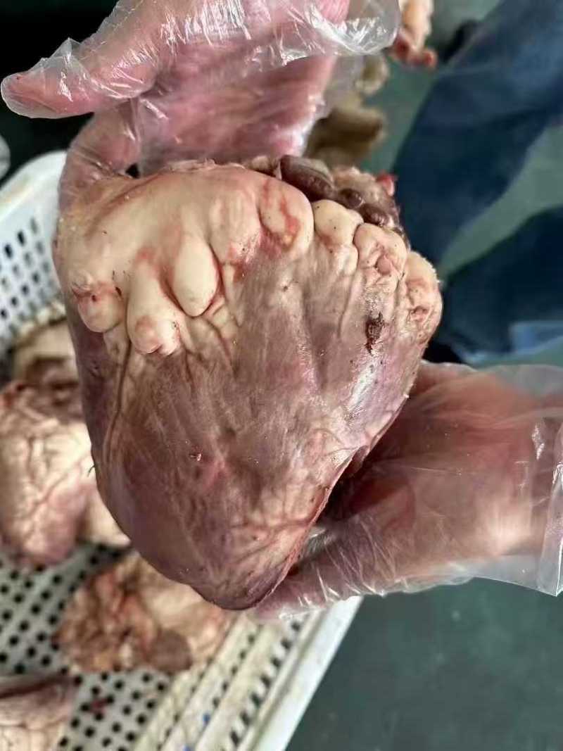 精品牛心，一手货源，货美价廉，量大从优