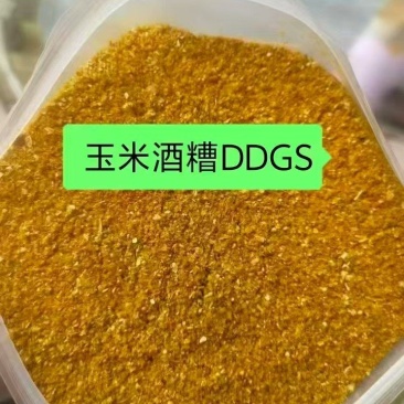 玉米酒精糟