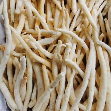 参明参川明参汤料干度好无碎渣价格美丽库房现货品质保证