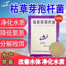 枯草芽孢杆菌，厂家直发，一手货源，量大优惠欢迎合作