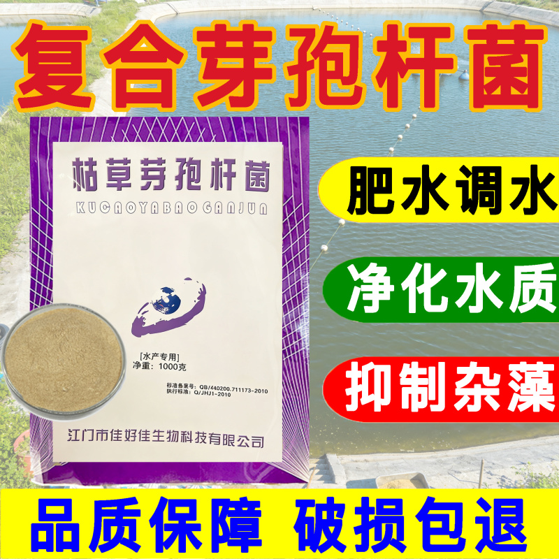 枯草芽孢杆菌，厂家直发，一手货源，量大优惠欢迎合作