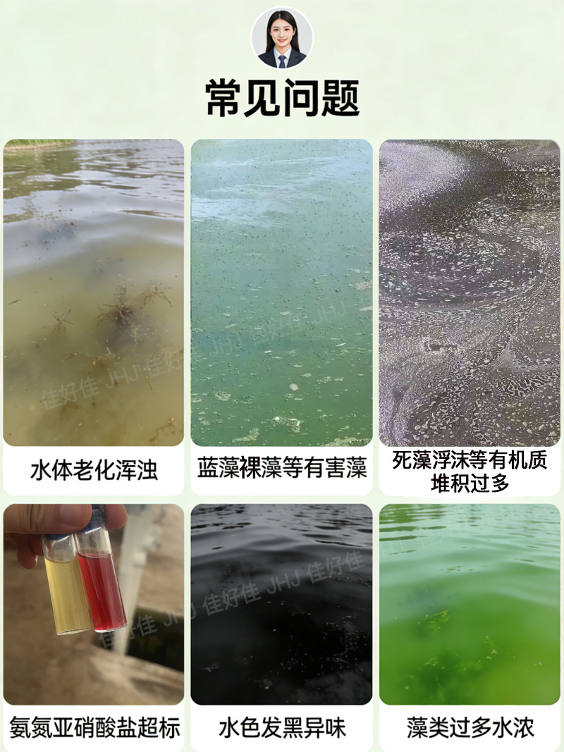 枯草芽孢杆菌，厂家直发，一手货源，量大优惠欢迎合作