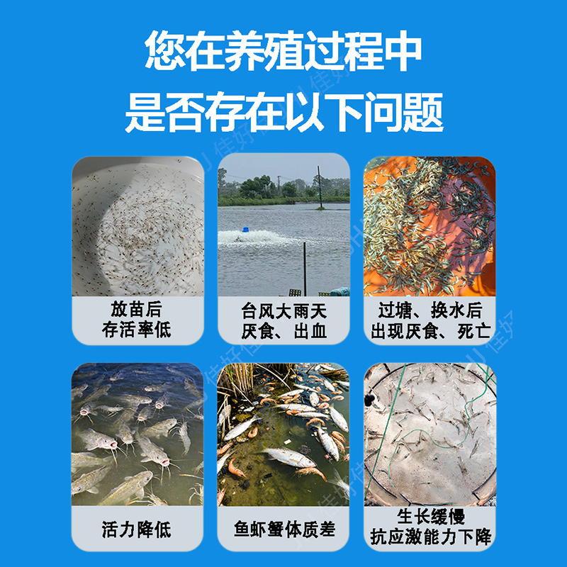 高稳VC微生物菌剂，厂家直发，量大优惠欢迎合作