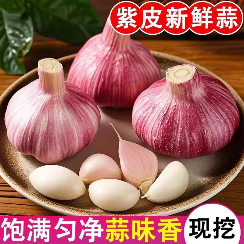 金乡大蒜大蒜头独蒜产地一手货源保质保量