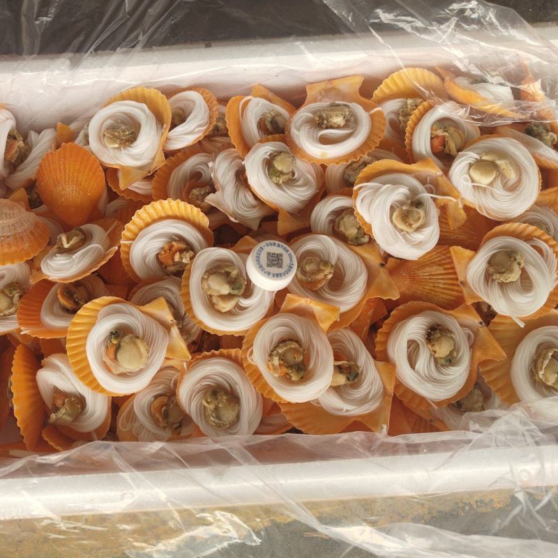 扇贝粉丝扇贝全规格夏季烧烤来选量大价优