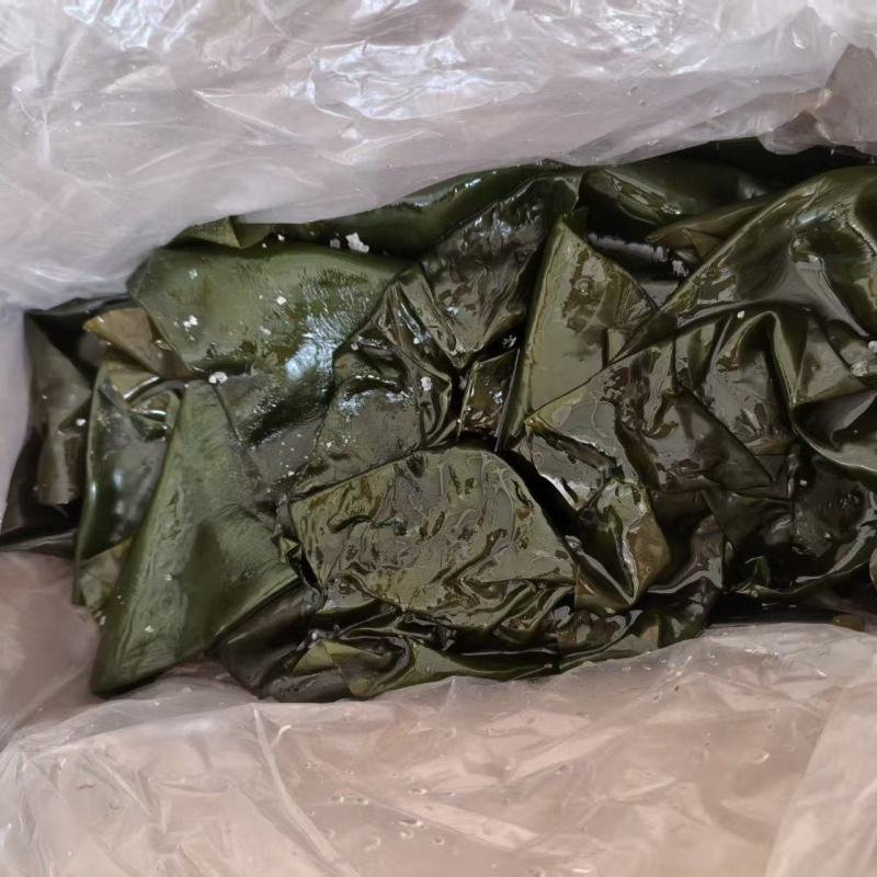 海带海带丝海带扣海带扣全品类现货供应量大从优