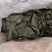 海带海带丝海带扣海带扣全品类现货供应量大从优