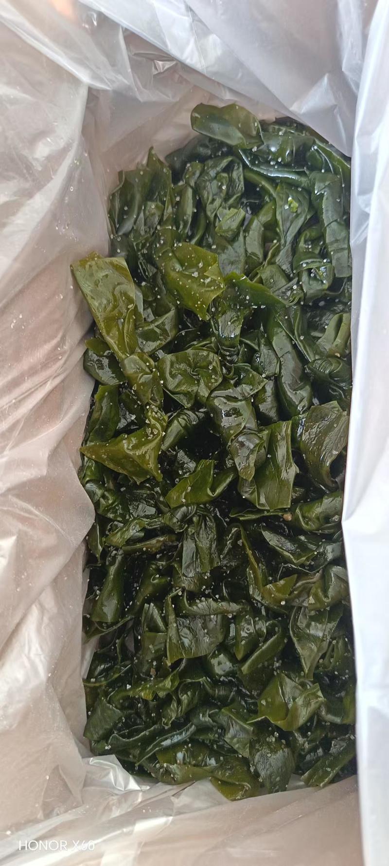 海带海带丝海带扣海带扣全品类现货供应量大从优