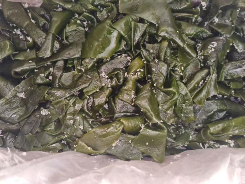 海带海带丝海带扣海带扣全品类现货供应量大从优