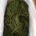 海带海带丝海带扣海带扣全品类现货供应量大从优