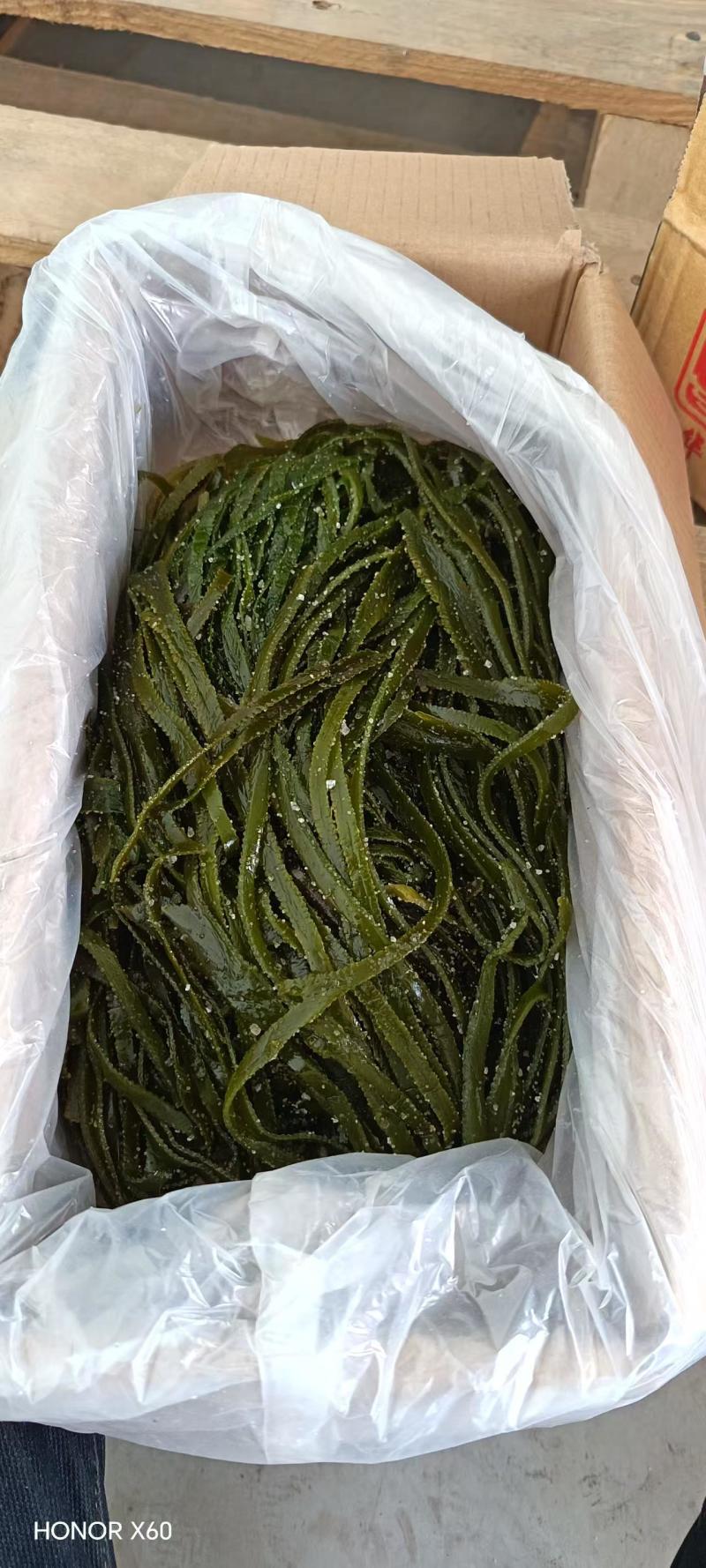 海带海带丝海带扣海带扣全品类现货供应量大从优