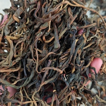 旧笼古树红茶