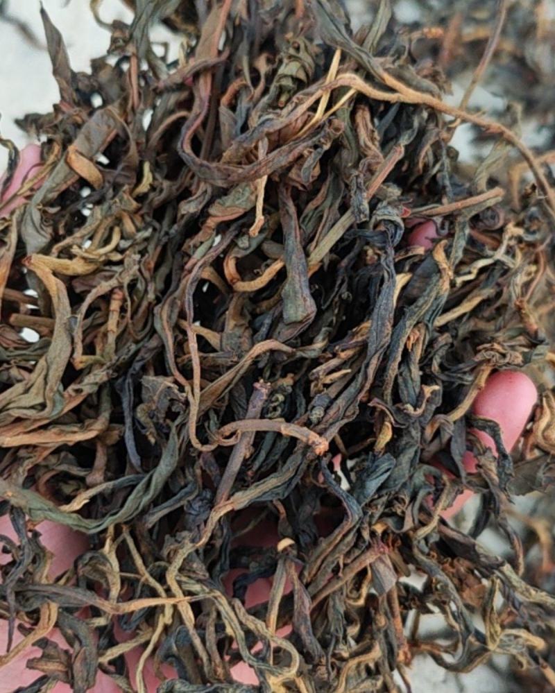 旧笼古树红茶