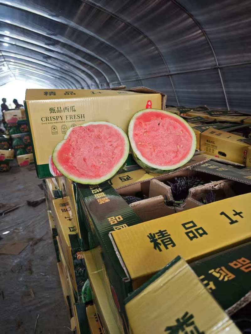麒麟西瓜通货价格