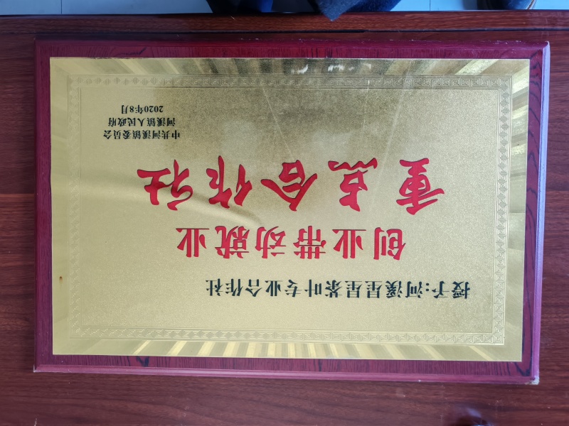 湘西黄金茶（绿茶，红茶）