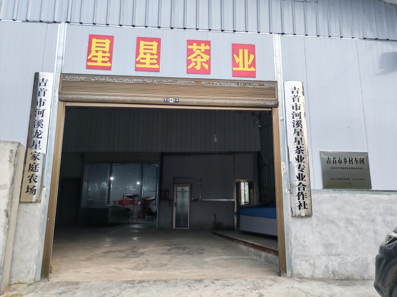湘西黄金茶（绿茶，红茶）