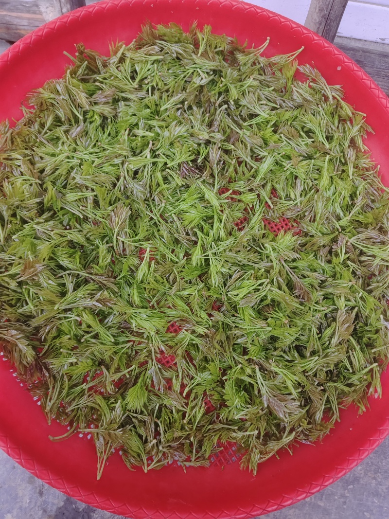 湘西莓茶