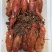 麻辣小龙虾5钱，单盒净重650克，一箱10盒