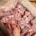 满肉羊蝎子价格低不到200件