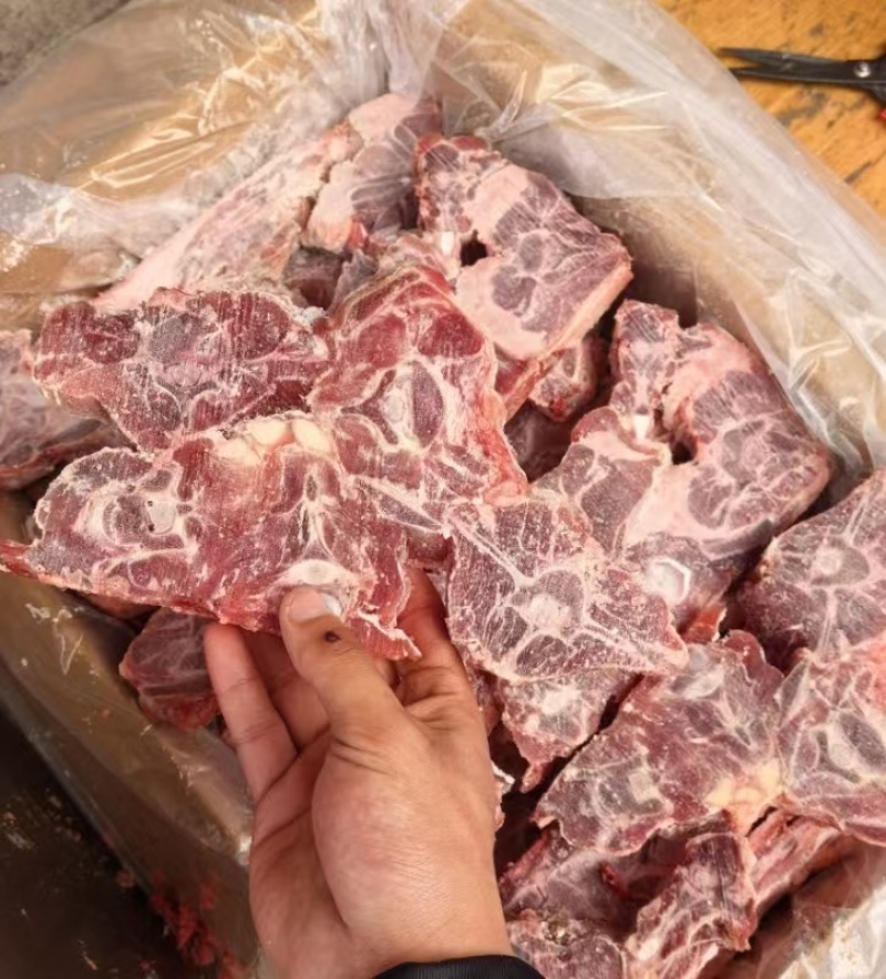 满肉羊蝎子价格低不到200件