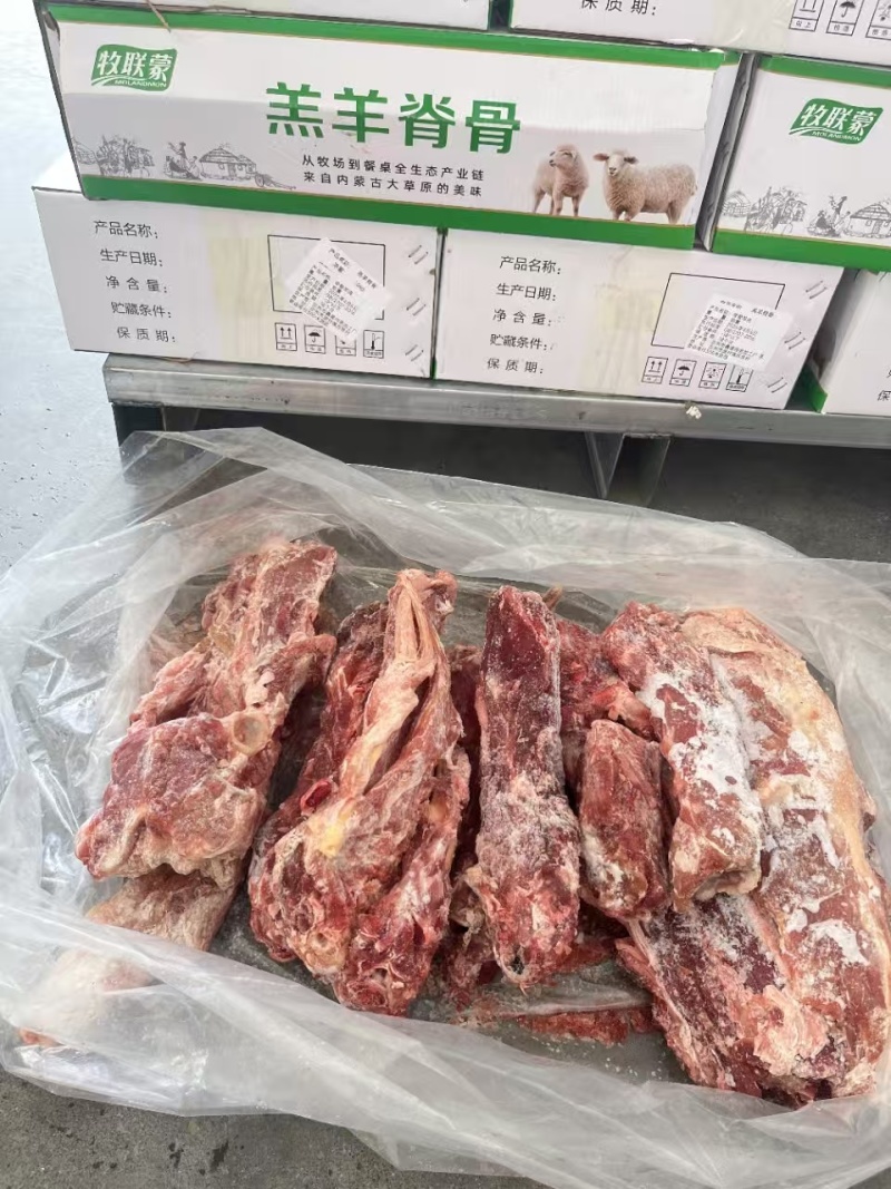 满肉羊蝎子价格低不到200件