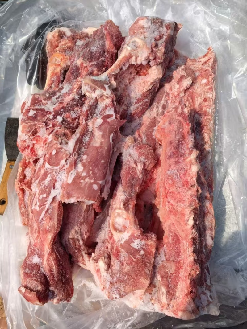 满肉羊蝎子价格低不到200件