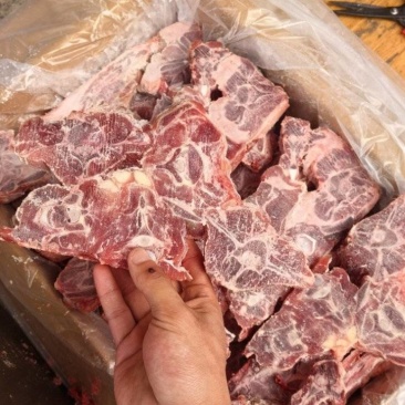 满肉羊蝎子价格低不到200件