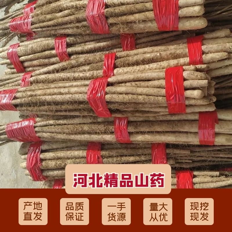 双棒山药，铁棍山药，紫药，小白嘴山药，产地直供，全国发货