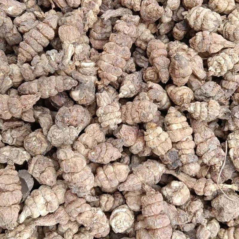 螺丝菜干货
