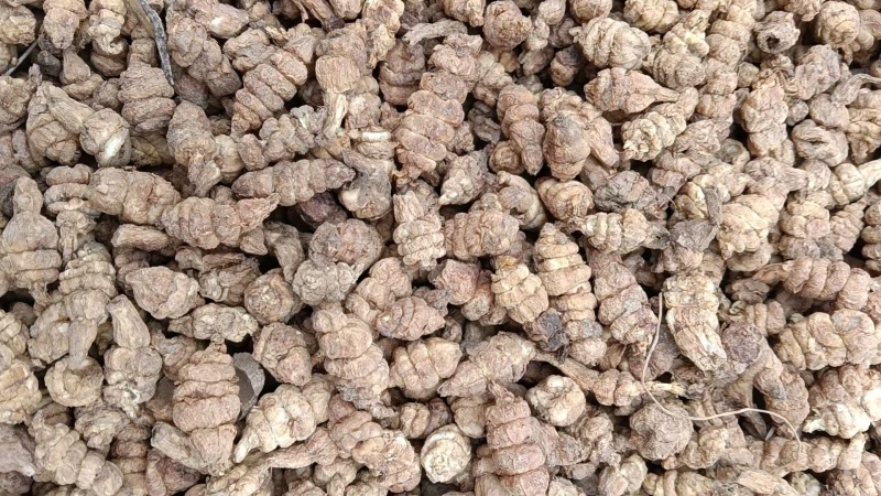 螺丝菜干货