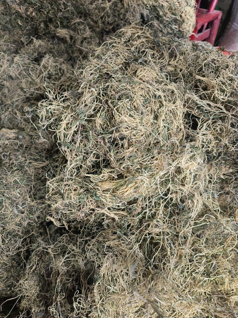 半边莲，产新半边莲干货