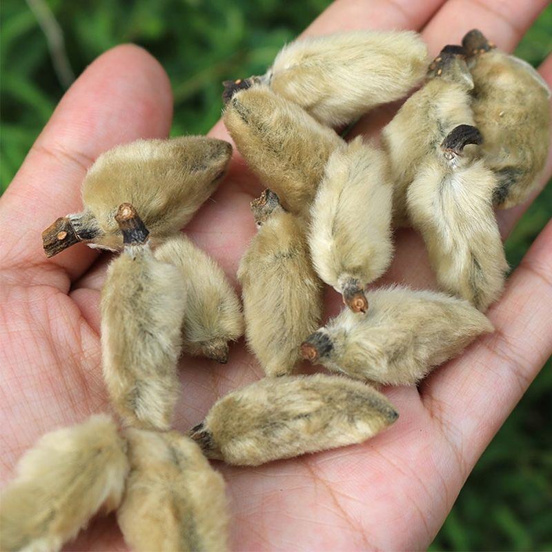 辛夷花正宗煮茶泡水大花小花无梗中药材花类香料批发零售