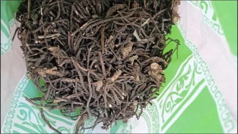 威灵仙野生正品威仙灵中药材威仙灵老虎须威灵仙家种批发零售