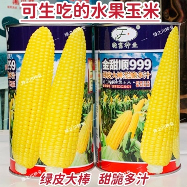 金甜顺999甜玉米种籽超甜鲜食水果玉米种子高产绿皮大棒
