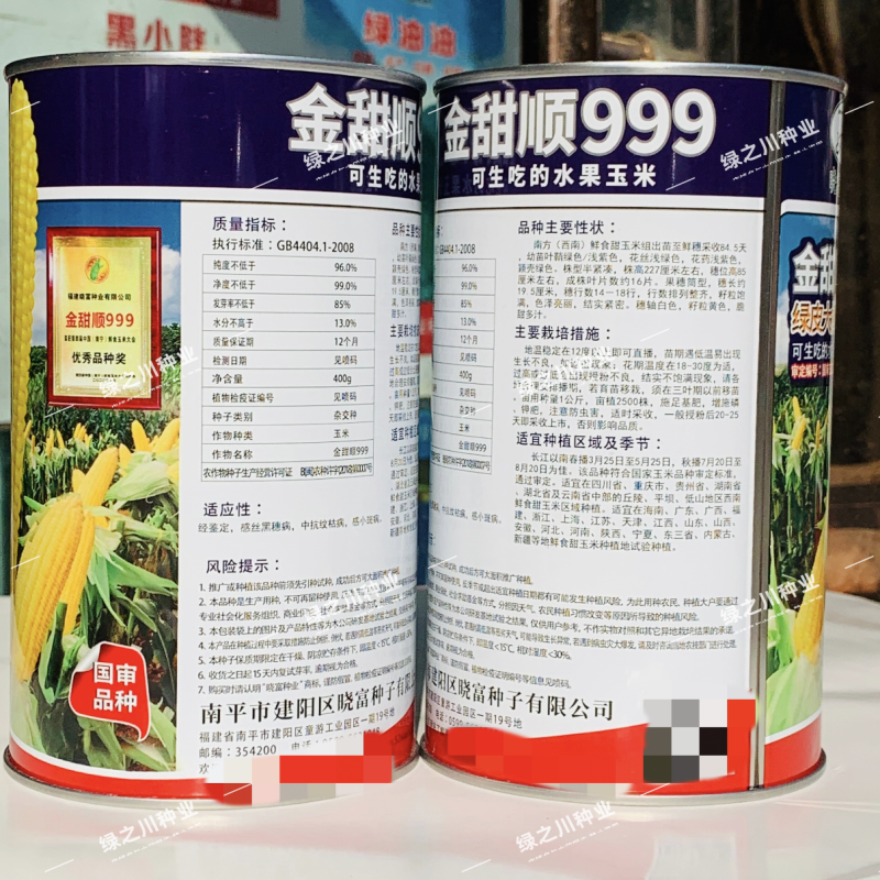 金甜顺999甜玉米种籽超甜鲜食水果玉米种子高产绿皮大棒