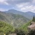 武夷山原产地金骏眉