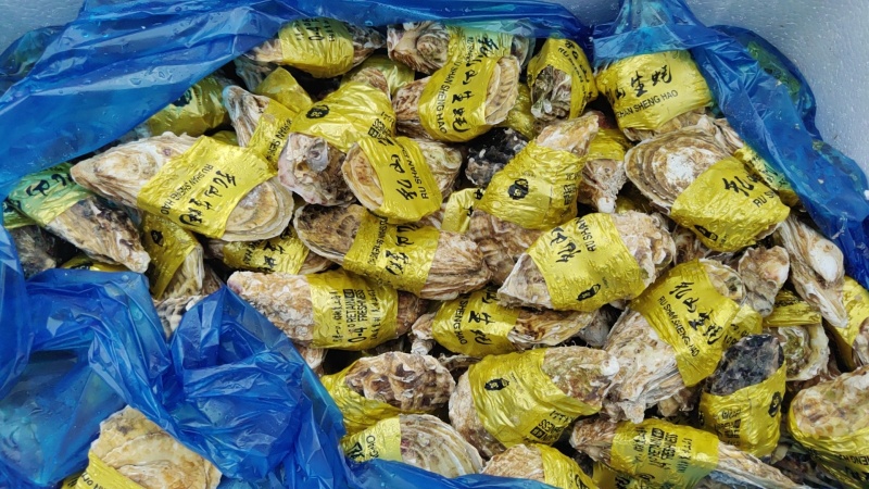 长期供钦州生蚝乳山蚝精品流通都有货源充足