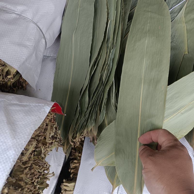 烘干粽叶保鲜叶现货