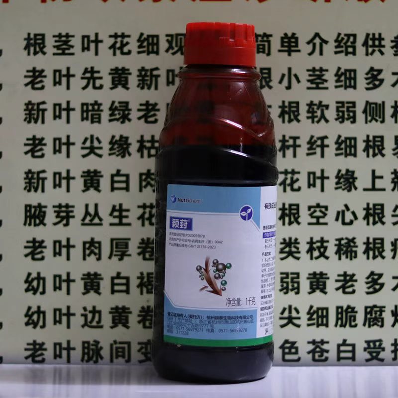 颖泰二甲戊灵苗前杂草封闭玉米烟草药材精作果树地芽前除草剂