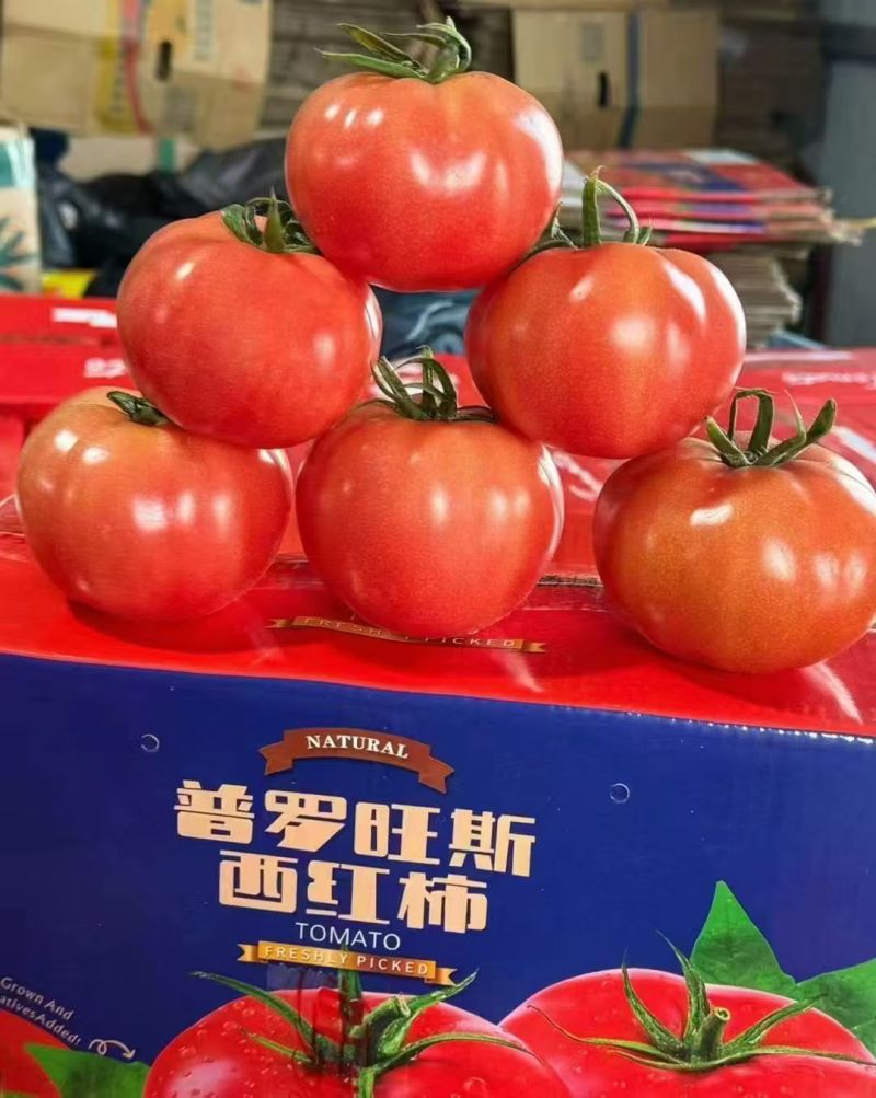 普罗旺斯大量上市