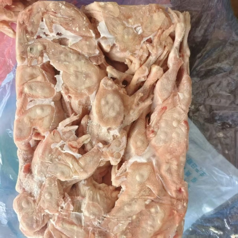 老母鸡白条鸡一级二级都有价格美丽欢迎咨询来电优