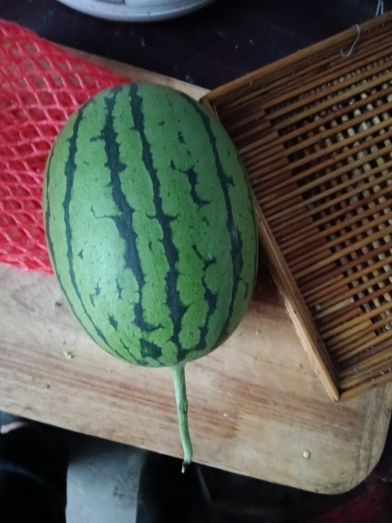 小吊瓜随时联系电话***********